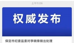 保定最新爆料事件处理结果,官方公布处理结果，真相大白